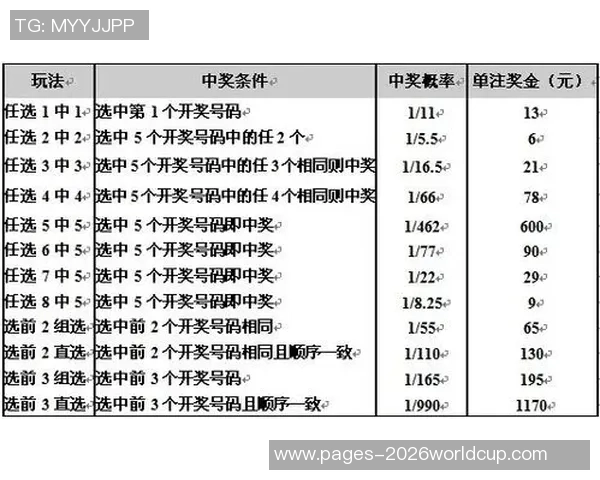 如何选择合适的平台购买足球彩票并提高中奖概率的实用指南